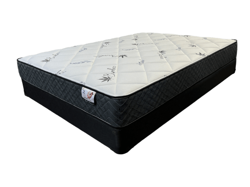 Orthopedic Deluxe Mattress - Dreamland Home Furnishing