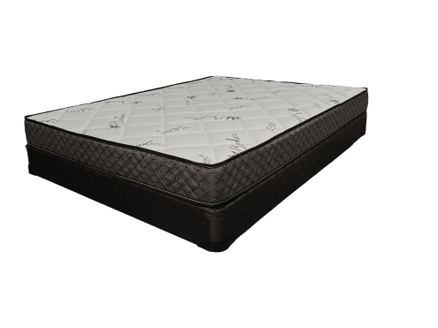 Dreamopedic Tight Top Mattress - Dreamland Home Furnishing