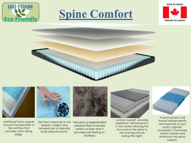 Spinal Comfort - Furniture Empire